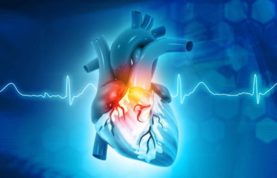 Cardiology Specialization for Healthcare Professionals 