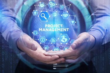 Certified Project Management Professional 